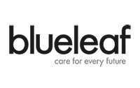 blueleaf